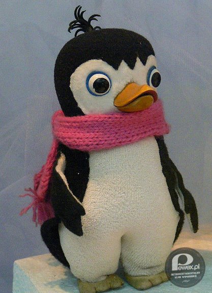Mały pingwin Pik-Pok –  
