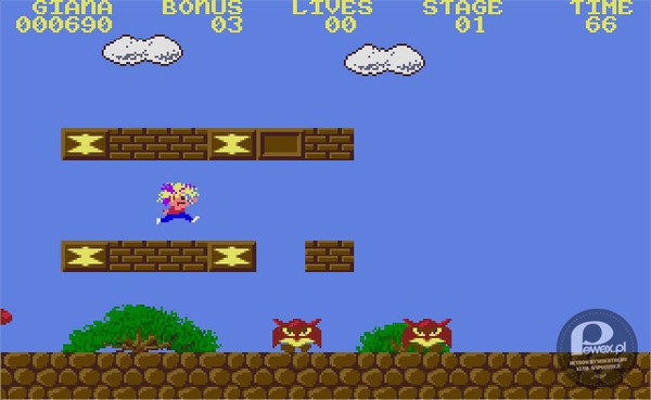 The Great Giana Sisters – Komputerowa gra platformowa produkcji niemieckiej autorstwa Time Warp Productions, wydana w roku 1987 przez firmę Rainbow Arts. Autorem muzyki do gry jest Chris Hülsbeck, a autorem grafiki Manfred Trenz. Jest to gra naśladująca Super Mario Bros. Oryginalnie została stworzona na Commodore 64, a później stworzono wersje na kolejne platformy. 