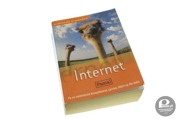 Kiedyś Internet czytało się z książki – I w taki o to właśnie sposób można było przeczytać cały internet . Kto miał ten wie. 