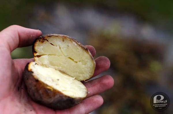 Ziemniaki pieczone w ognisku – niezapomniany smak z dzieciństwa 