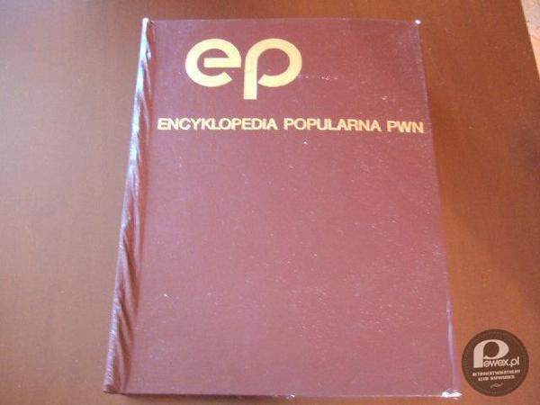 Encyklopedia PWN – W czasach przedinternetowych stanowiła podstawowe źródło wiedzy. 