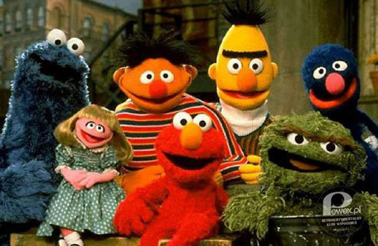 Ulica Sezamkowa – Cechą charakterystyczną programu jest udział muppetów opracowanych przez znanego lalkarza amerykańskiego Jima Hensona.Wywarła ogromny wpływa na proces edukacji społecznej najmłodszych 