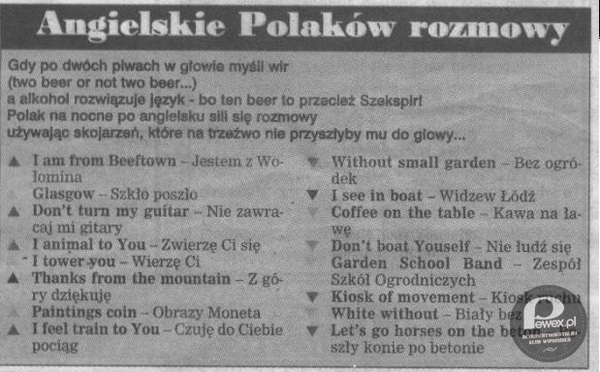 Rozmówki polsko-polskie –  