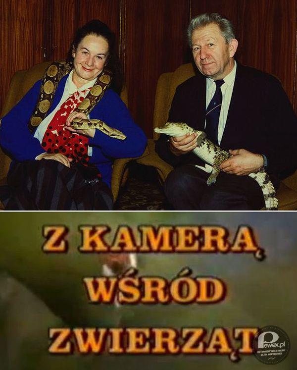 Z kamerą wśród zwierząt – Polski program przyrodniczy, nadawany w latach 1971-2001 na kanale TVP1, prowadzony przez małżeństwo Antoniego i Hannę Gucwińskich. Program był produkcji Telewizji Polskiej. 