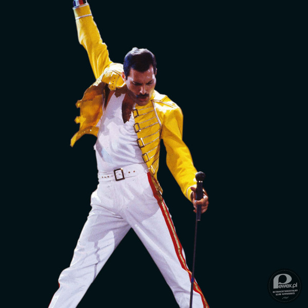 Freddie Mercury – Freddie Mercury ur. 5 września 1946 w Stone Town, Zanzibar, zm. 24 listopada 1991 w Londynie - brytyjski muzyk, wokalista rockowy i autor tekstów, frontman brytyjskiej grupy Queen. Wielokrotnie wyróżniany tytułem jednego z najlepszych wokalistów w historii muzyki popularnej, autor takich utworów jak &quot;Bohemian Rhapsody&quot;, &quot;We Are the Champions&quot;, &quot;Somebody to Love&quot;, &quot;Killer Queen&quot; czy &quot;Crazy Little Thing Called Love&quot;. 