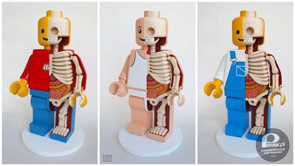 Uwaga! Achtung! Wniemanie! – Ujawniamy SZOKUJĄCĄ prawdę dotyczącą ludzika LEGO. Przed Wami anatomiczny przekrój, żywo dowodzący, że kultowa figurka to nie tylko kawałek plastiku! 