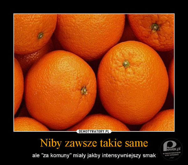 Pomarańcze – Niby takie same, a jednak inne. 
