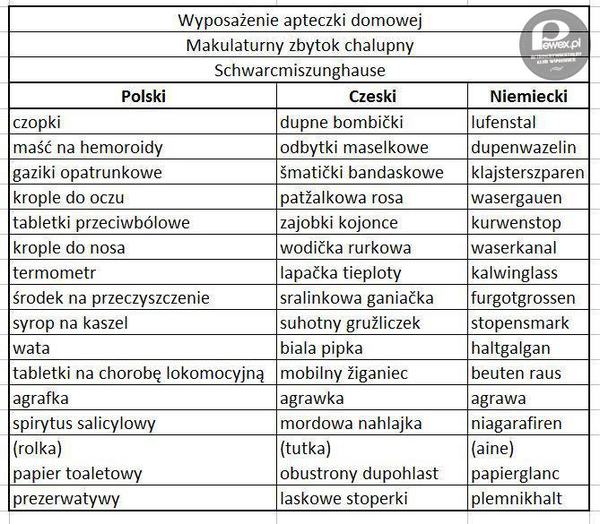 Język czeski i niemiecki dla początkujących – Na tapecie wyposażenie apteczki 