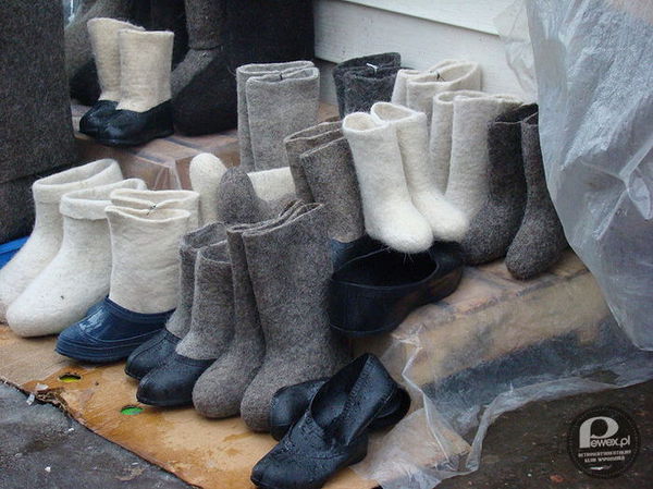 Walonki – (Ros. Ва́ленки) – ciepłe obuwie do połowy łydki (czasem do kolan), nieprzepuszczające wody. Jak widać wracają do łask i stają się dzisiaj krzykiem mody.

Zapraszamy na obuwnicze zakupy: 
DLA NIEJ: http://pewex.pl/kategoria/5-buty.html
DLA NIEGO: http://pewex.pl/kategoria/112-buty.html 