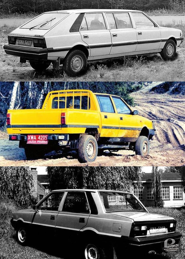 Polonez – Kształt jego nadwozia jest efektem pracy słynnego projektanta. Był eksportowany do blisko 40 krajów. Opracowano wersje przedłużone, ciężarowe, coupe, 4x4, a nawet rajdowe. 