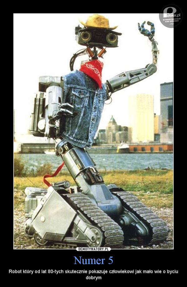 Krótkie spięcie – Amerykańska komedia science fiction z Ally Sheedy oraz Steve&apos;em Guttenbergiem w reżyserii Johna Badhama. W 1988 roku nakręcono sequel Krótkie spięcie 2.
Trwają pracę nad wykorzystaniem robotów do celów militarnych. W czasie pokazu prototypów, zrywa się burza, a jedna z maszyn zostaje uderzona piorunem. Pod wpływem uderzenia robot zyskuje świadomość i ucieka. Wojskowe służby specjalne rozpoczynają pościg za zbiegiem, który znajduje schronienie w domu Stephanie, bioracej go początkowo za kosmitę. 