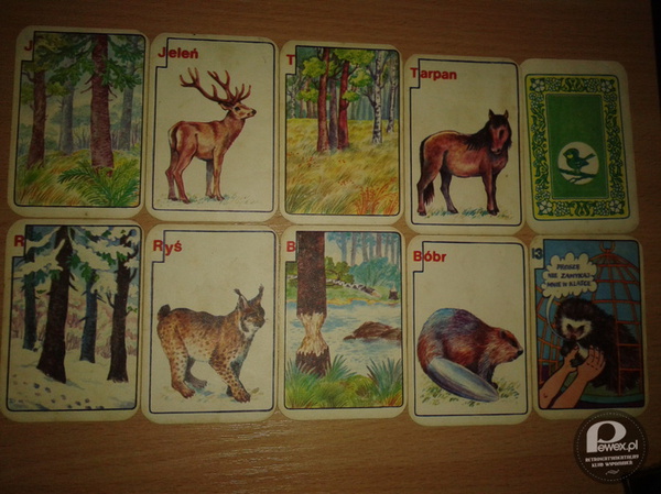 Karty do gry &quot;Zwierzęta leśne&quot; – Krakowskie Zakłady Wyrobów Papierowych 