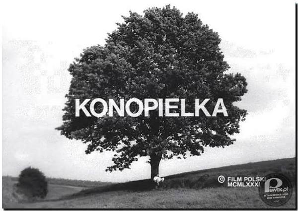 Konopielka – Polski film obyczajowy, komedia z 1981 roku w reżyserii Witolda Leszczyńskiego, na podstawie jego własnego scenariusza, adaptacja powieści Edwarda Redlińskiego pod tym samym tytułem. Aby uniknąć wrażenia wiejskiej sielanki reżyser zdecydował się na czarno-białe zdjęcia. 