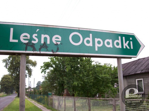 Kierunek wakacyjny - Leśne Odpadki – Wieś w Polsce położona w województwie łódzkim, w powiecie łódzkim wschodnim, w gminie Brójce. 