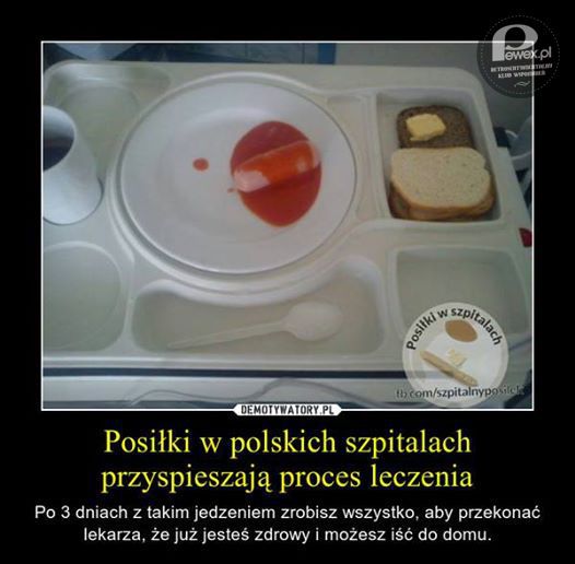 Posiłki w polskich szpitalach – Są, lecz nie wiadomo gdzie! 