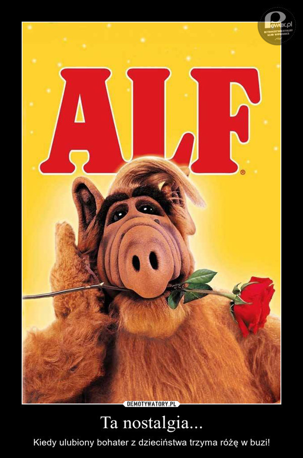 Alf – Jeden z lepszych bohaterów z dzieciństwa, w czasach, kiedy dzieci bawiły się jeszcze na dworze. 