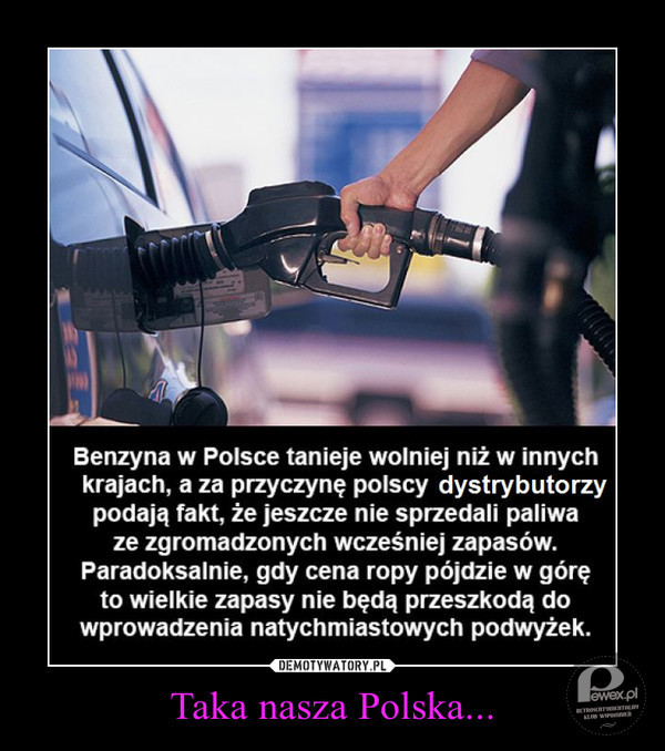 Ceny paliw w Polsce – Bardzo często wymykają się ekonomicznym prawom. 