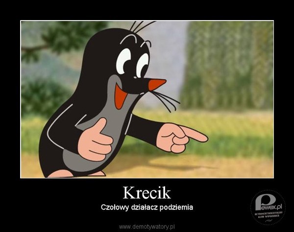 Krecik – (po czesku Krtek) – czeski (początkowo czechosłowacki) cykl filmów animowanych dla dzieci. Stworzył go Zdeněk Miler. 