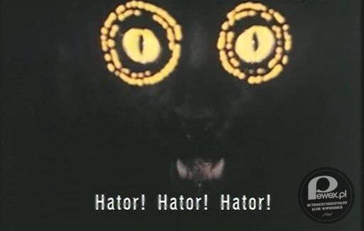 Hator Hator Hator – Bardzo fajny serial - Darek potem grał jeszcze w ,,Zmiennikach&#039;&#039;-brata Kasi. 