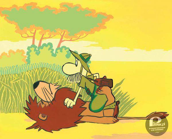 Pampalini łowca zwierząt – Serial animowany dla dzieci wyprodukowany w Studiu Filmów Rysunkowych w Bielsku-Białej w latach 1975–1980. 