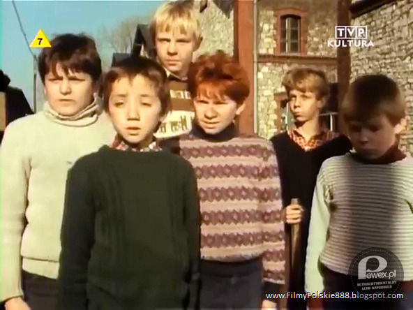 Banda Rudego Pająka – Polski serial telewizyjny dla młodych widzów z roku 1988 w reżyserii Stanisława Jędryki 