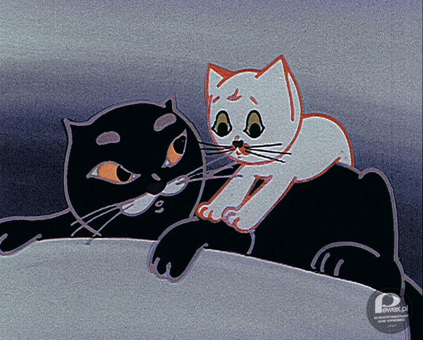 Bonifacy i Filemon – Bohaterowie filmu animowanego Kot Filemon powstałej w latach 1972-1981 w Studiu Małych Form Filmowych Se-ma-for 