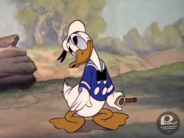 Kaczor Donald – bohater filmów animowanych i komiksów stworzony w 1934 przez Walta Disneya 