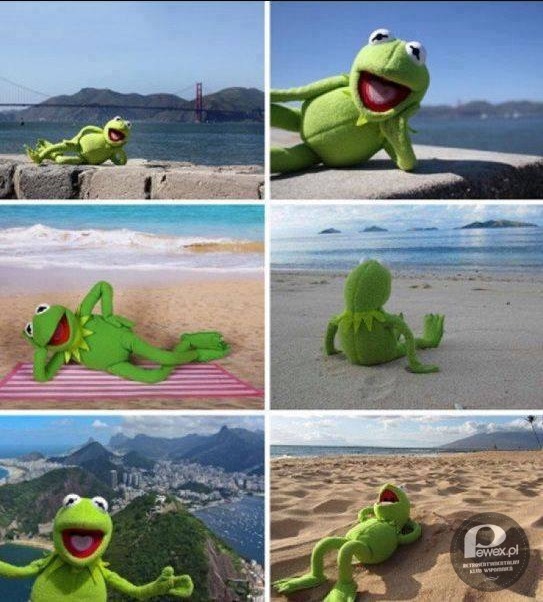 Kermit i jego wakacyjne focie – Tak wygląda Twój Facebook i Instagram, kiedy jesteś na wakacjach 