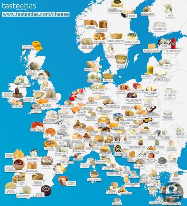 Najlepsze europejskie sery! A co z Polską?! –  